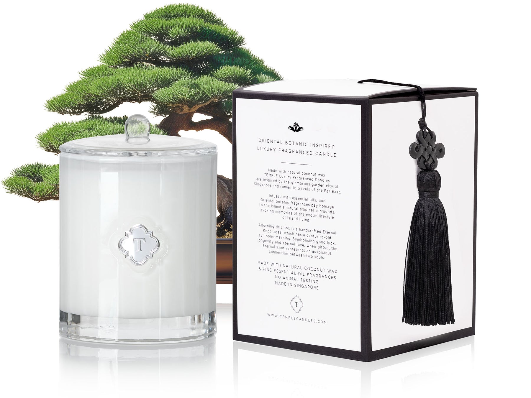 candle tree bonsai Bonsai Luxury Scented Candle. Made in Singapore Gifts. – Temple Candles
